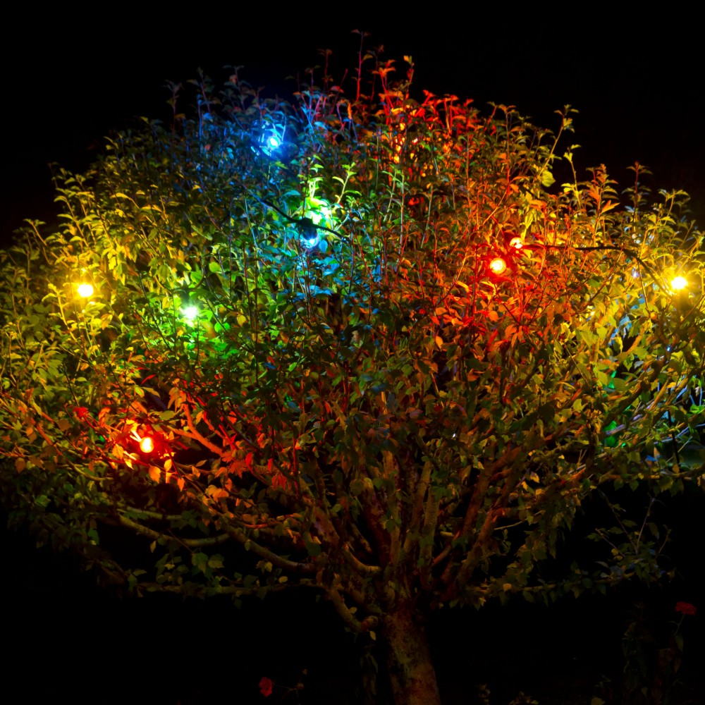 [63045] B001 - Guirlande 5m 8xE27 Multicolor