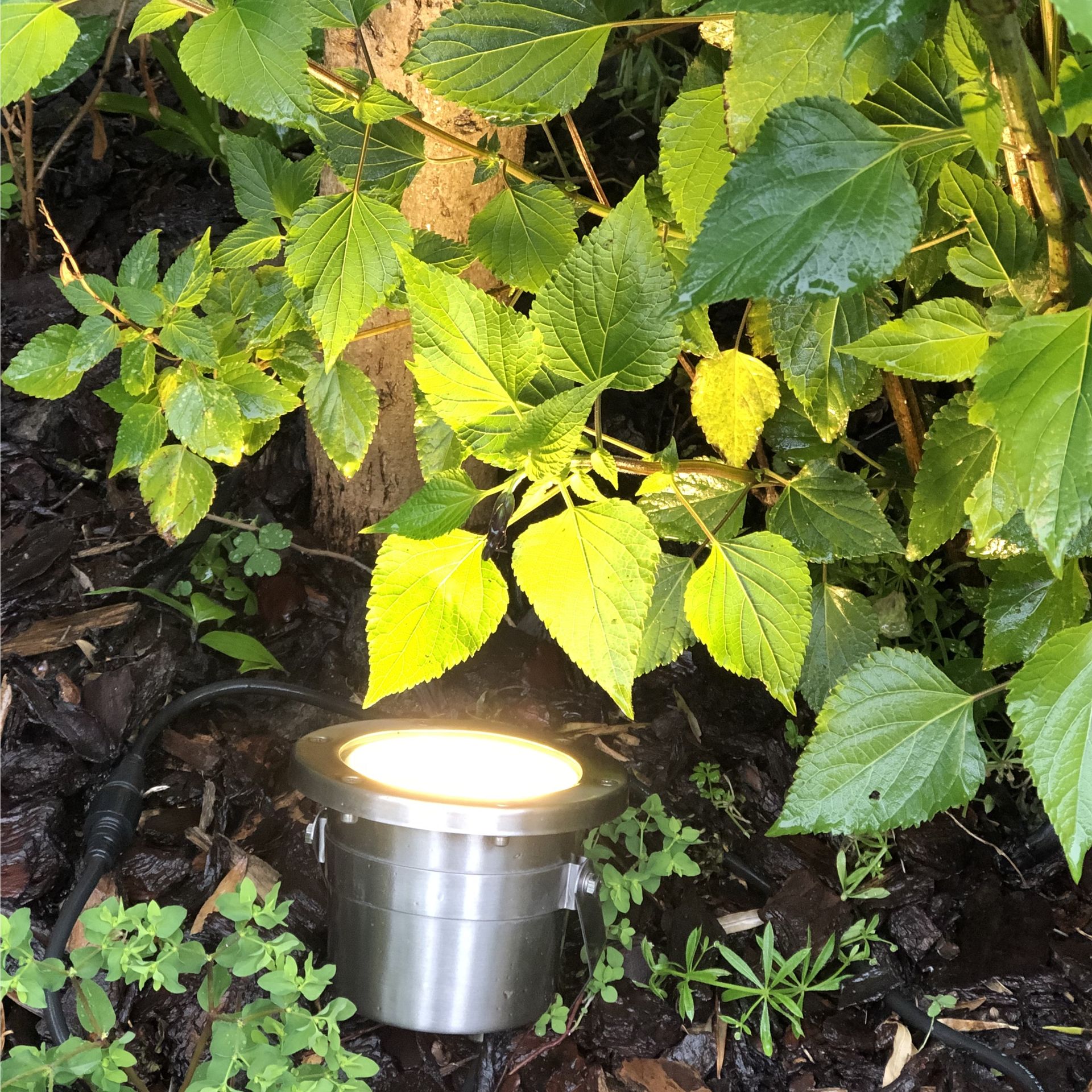 [3676] 3676 - Projecteur immergeable NAUTILUX 30 - INOX IP68(2m) - 10W