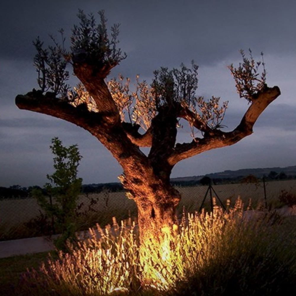 [3636] 3636 - Projecteur Noir Alu TARGET 30 - 10W - 3000°K